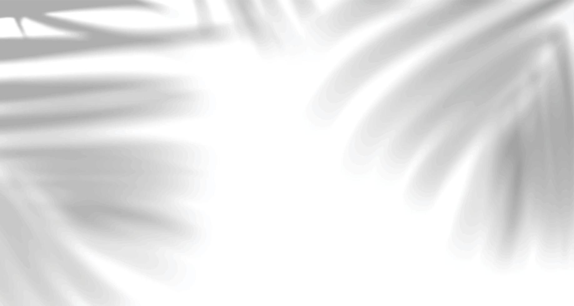fenêtres de lumière naturelle floues réalistes, superposition d'ombre de feuilles de palmier sur papier peint ou texture de cadres, arrière-plan abstrait, été, printemps, automne pour le podium de présentation du produit et la maquette saisonnière vecteur