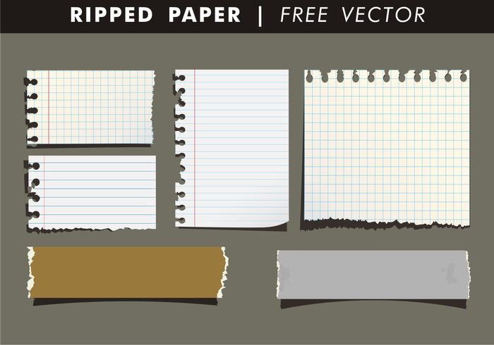 Papier déchiré Vector gratuit