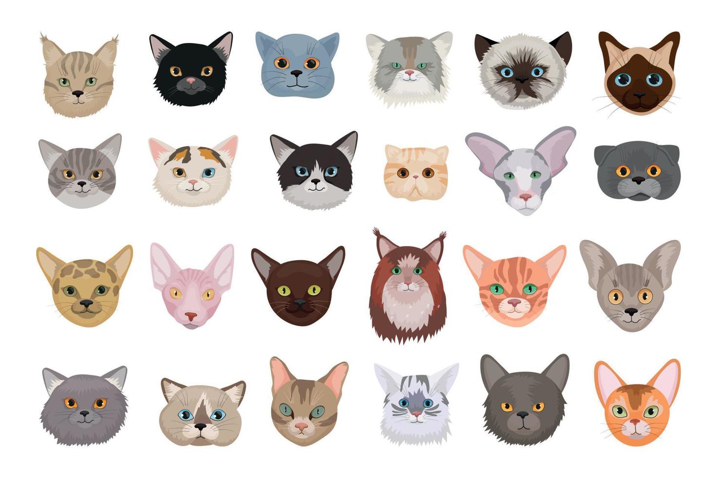 têtes de chats de races différentes vecteur
