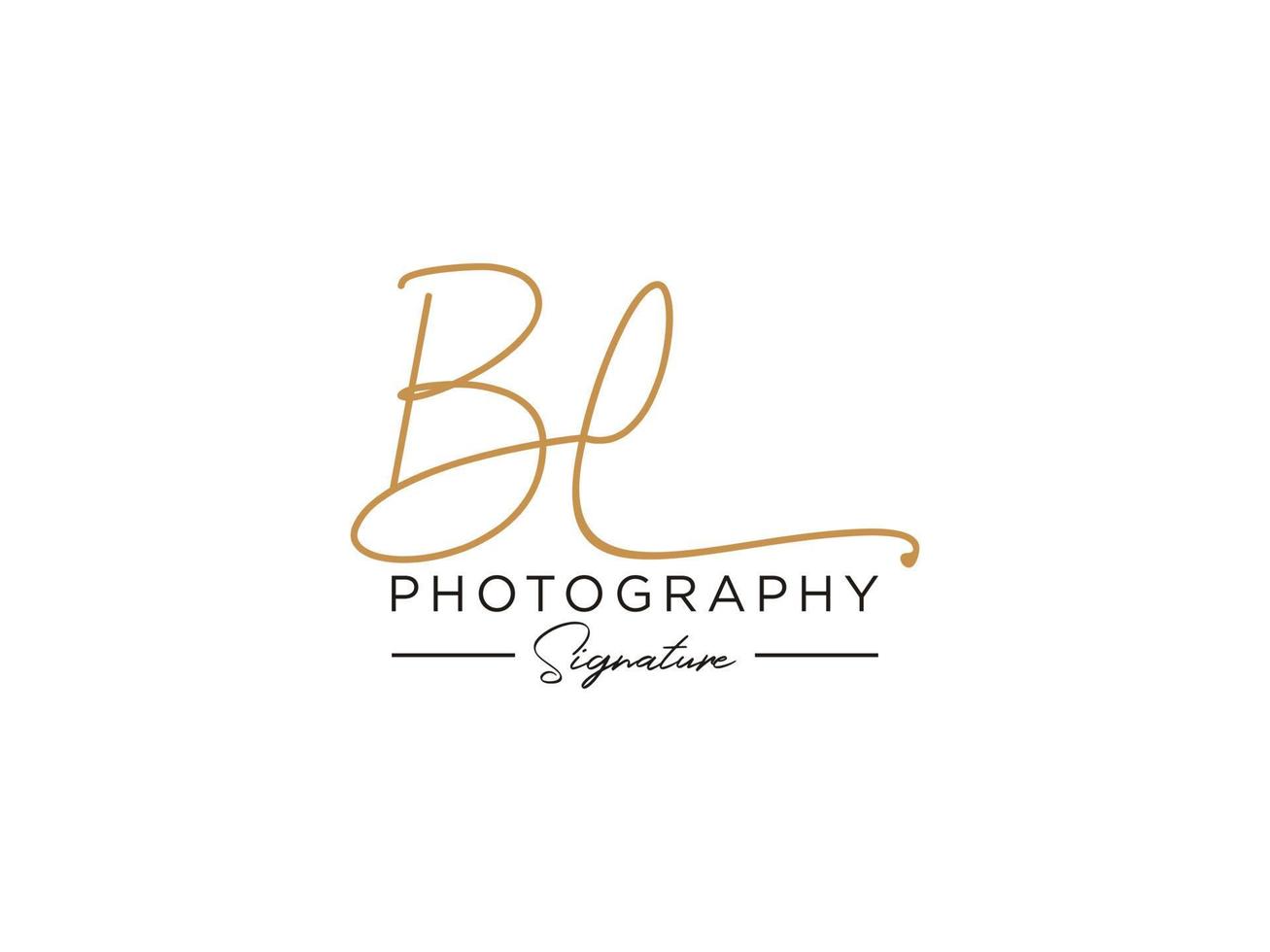 lettre bl signature logo template vecteur