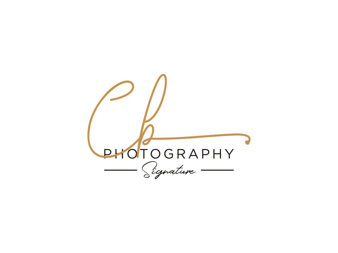 lettre cb signature logo template vecteur