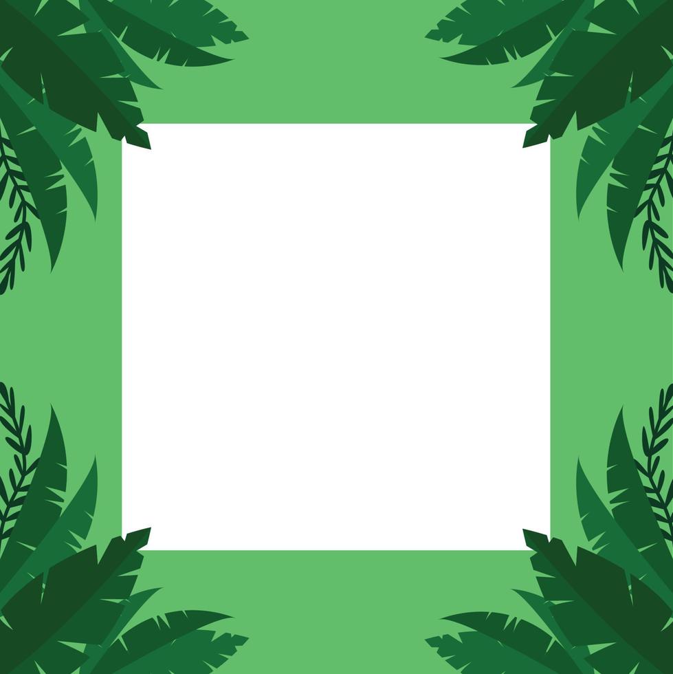 cadre carré de feuilles vertes vecteur