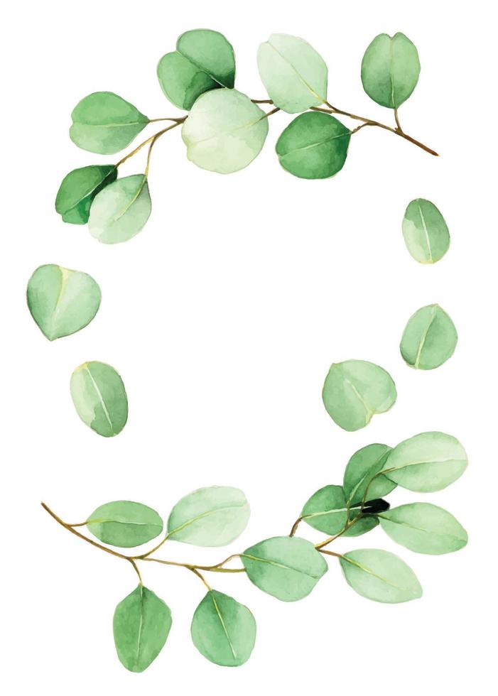 ensemble de dessins à l'aquarelle de feuilles et de branches d'eucalyptus. dessin vintage aux couleurs pastel feuilles d'eucalyptus isolées sur fond blanc branches et feuilles isolées. vecteur