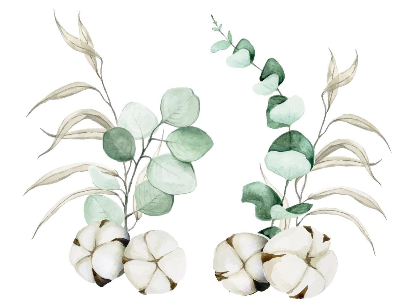 ensemble de dessins à l'aquarelle de feuilles d'eucalyptus, de saules et de fleurs de coton. bouquet de feuilles et coton isolé sur fond blanc. éléments d'art clip pour la conception graphique, la décoration de cartes, les mariages. vecteur