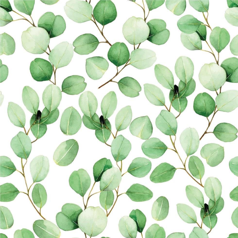 motif harmonieux d'aquarelle avec des feuilles d'eucalyptus sur fond blanc. motif vintage avec des feuilles d'eucalyptus tropical vert. conception pour papier peint, tissu, cartes postales, couvertures vecteur