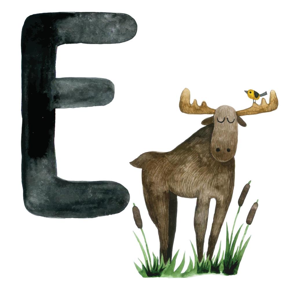 dessin à l'aquarelle. carte pédagogique avec lettre e, alphabet anglais. lettre e et motif de wapiti, mignons animaux de la forêt vecteur