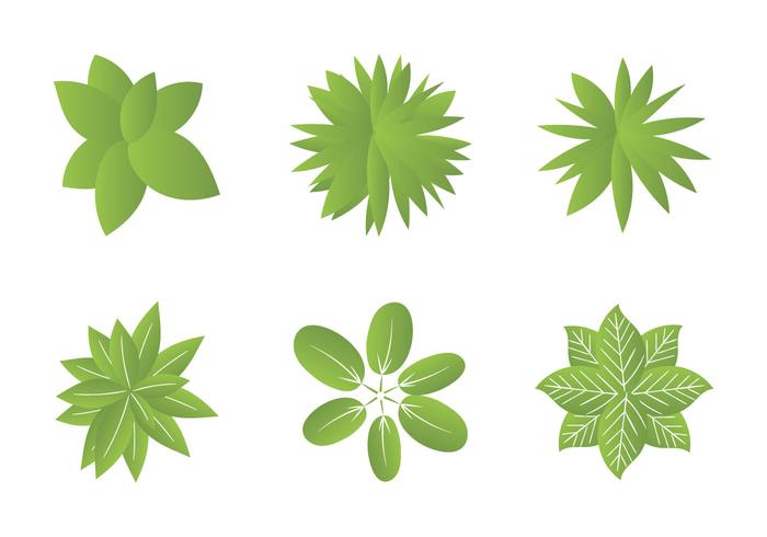 Illustration vectorielle libre de plantes vecteur