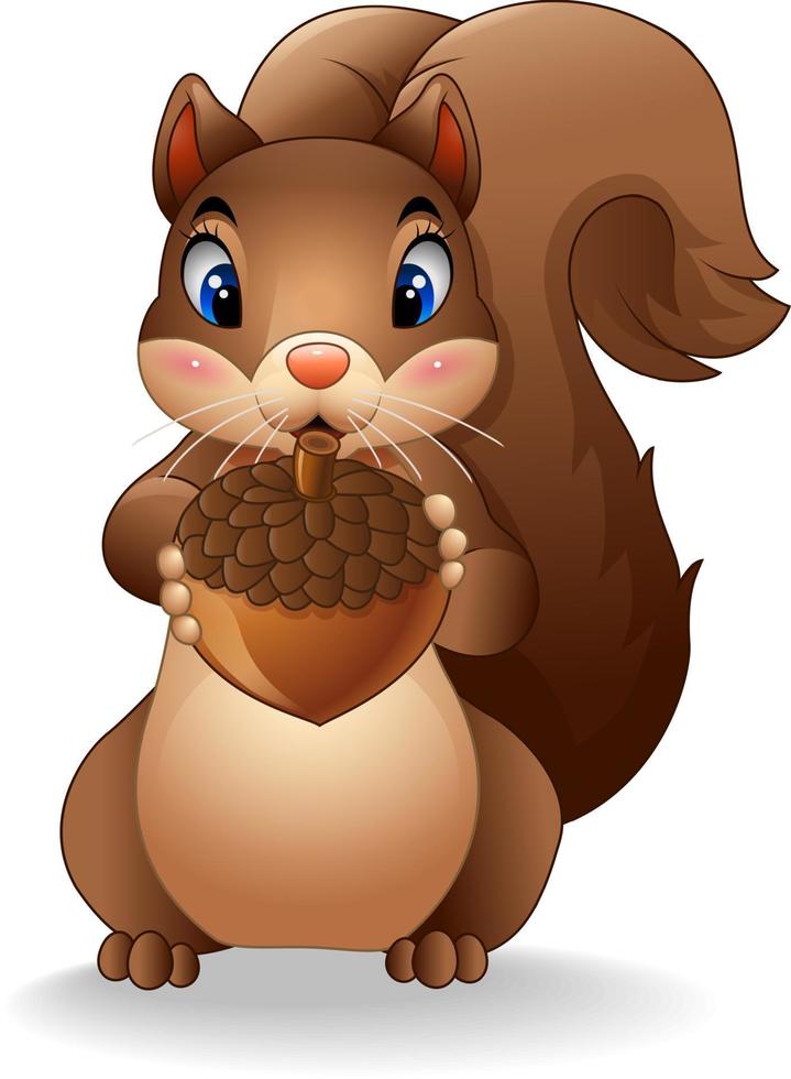 écureuil de dessin animé tenant un gland vecteur