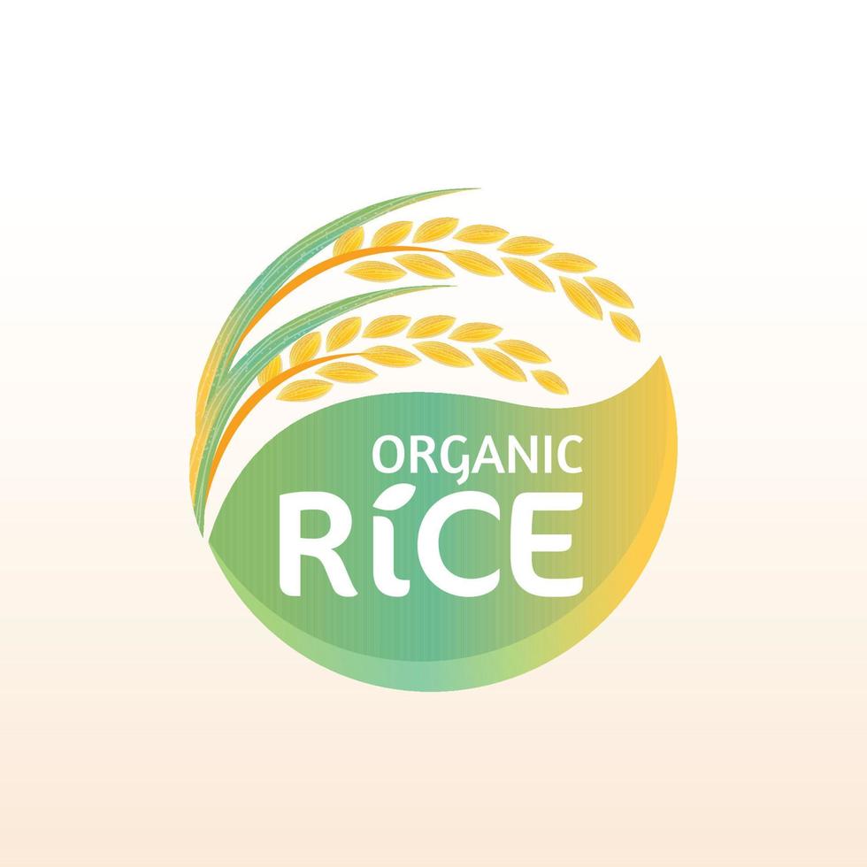 riz paddy premium produit naturel biologique bannière logo vector design