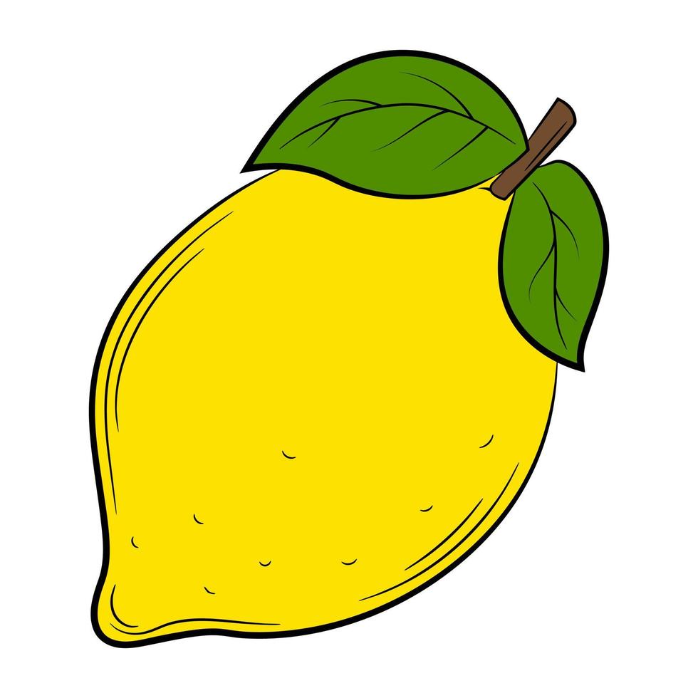 citron, fruit dans un style linéaire. élément décoratif vectoriel coloré, dessiné à la main.