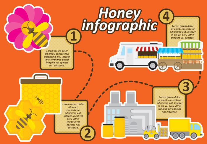 Infographie de miel vecteur