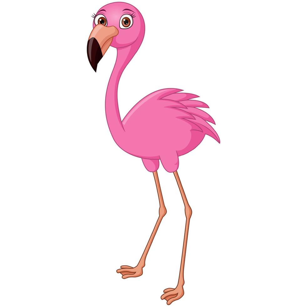 dessin animé mignon flamant rose sur fond blanc vecteur