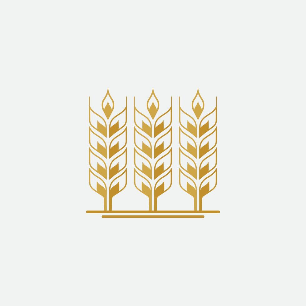 vecteur de logo de blé agricole