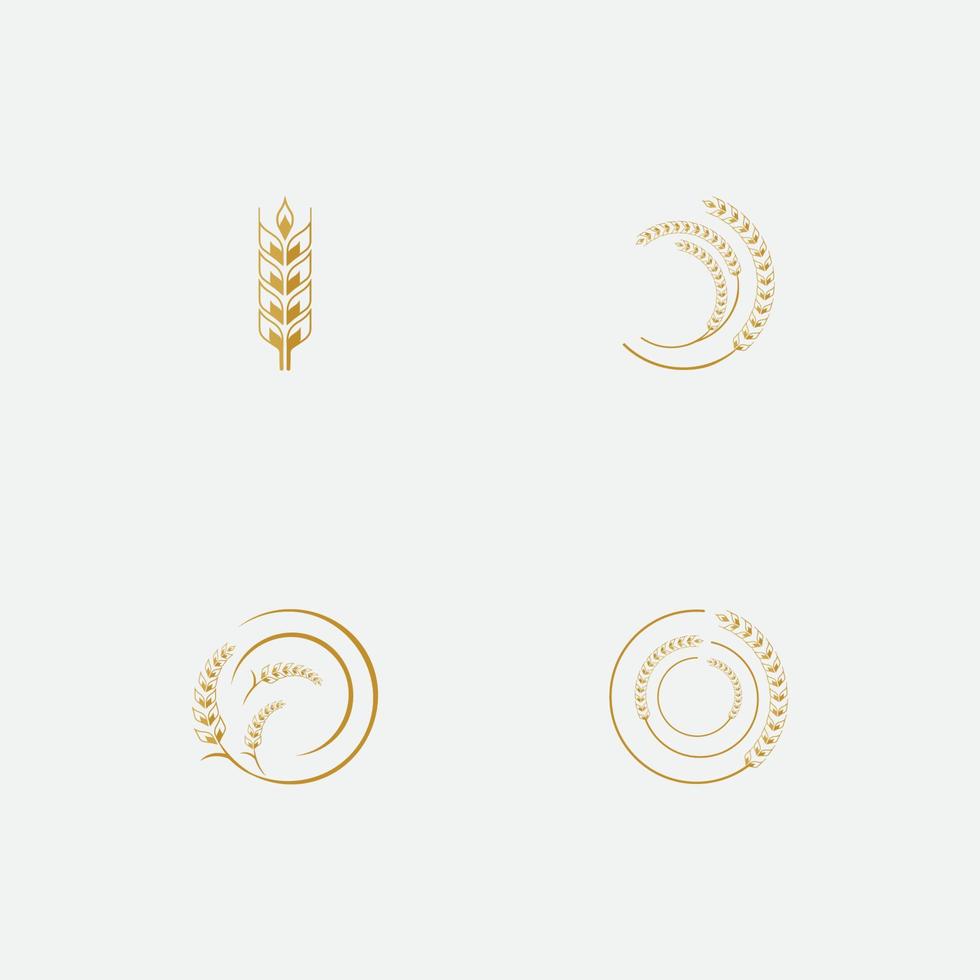 vecteur de logo de blé agricole