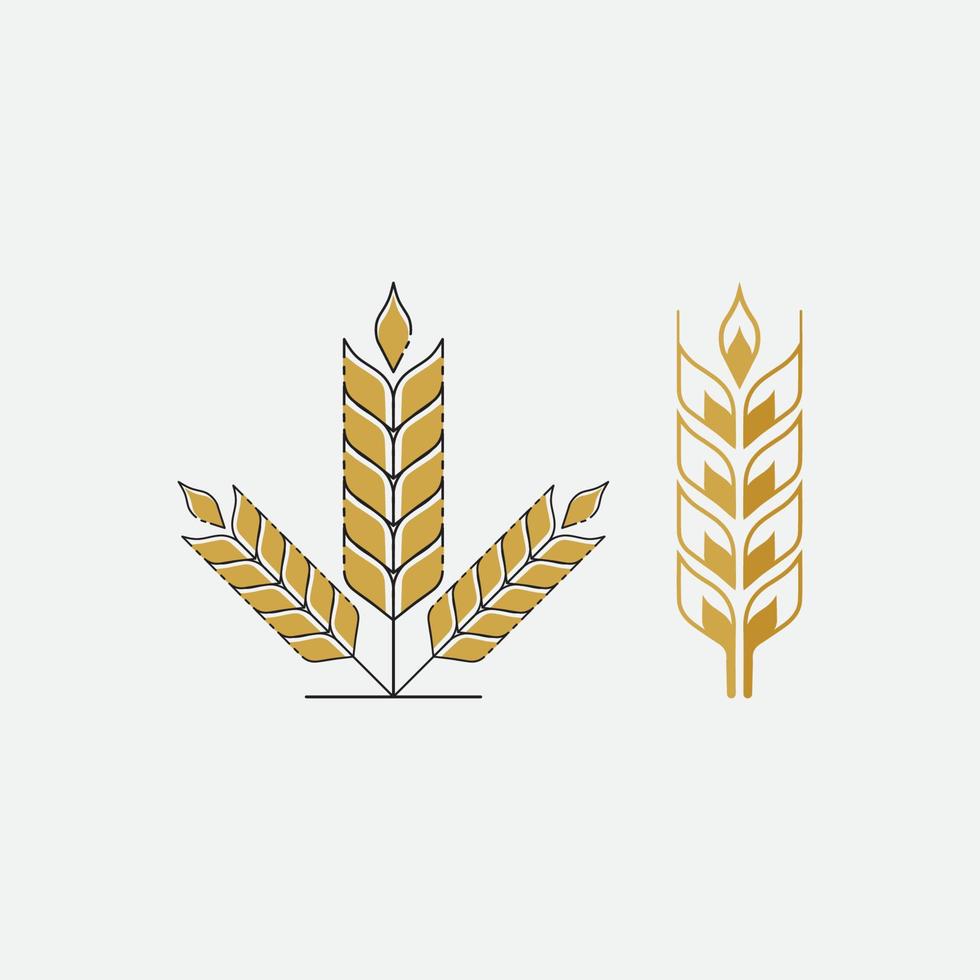 vecteur de logo de blé agricole