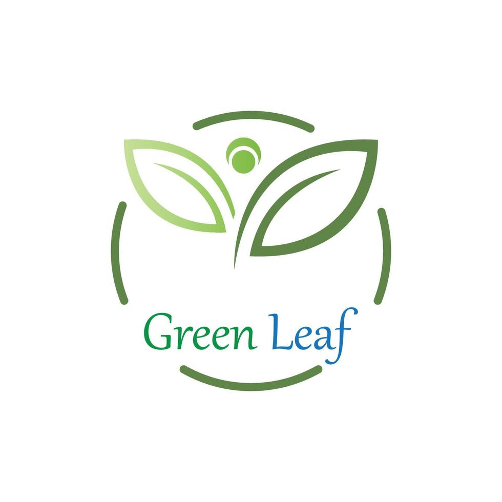 logos de l'écologie des feuilles d'arbre vert vecteur