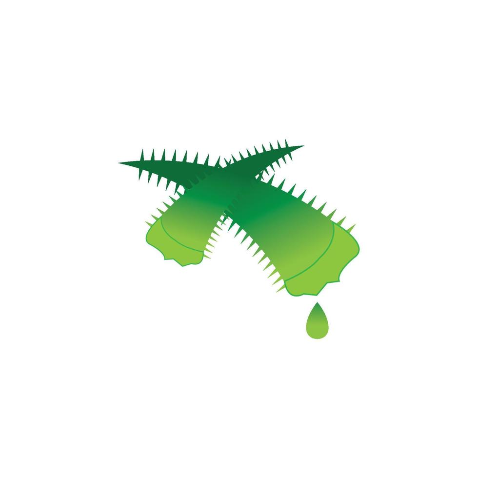 modèle d'illustration vectorielle logo aloe vera vecteur