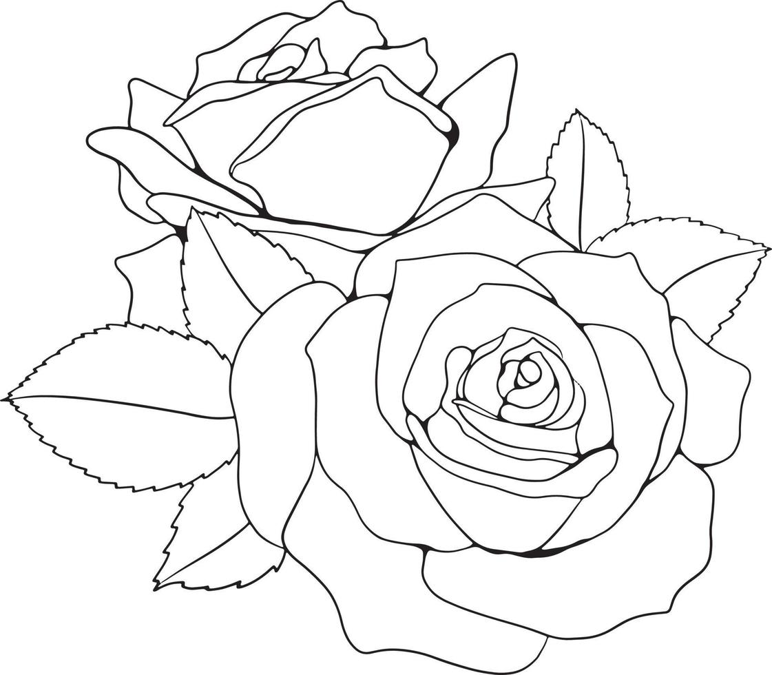 dessin au trait rose dessin au trait floral dessin au trait fleur rose illustration vectorielle pour invitation, cartes, etc. vecteur