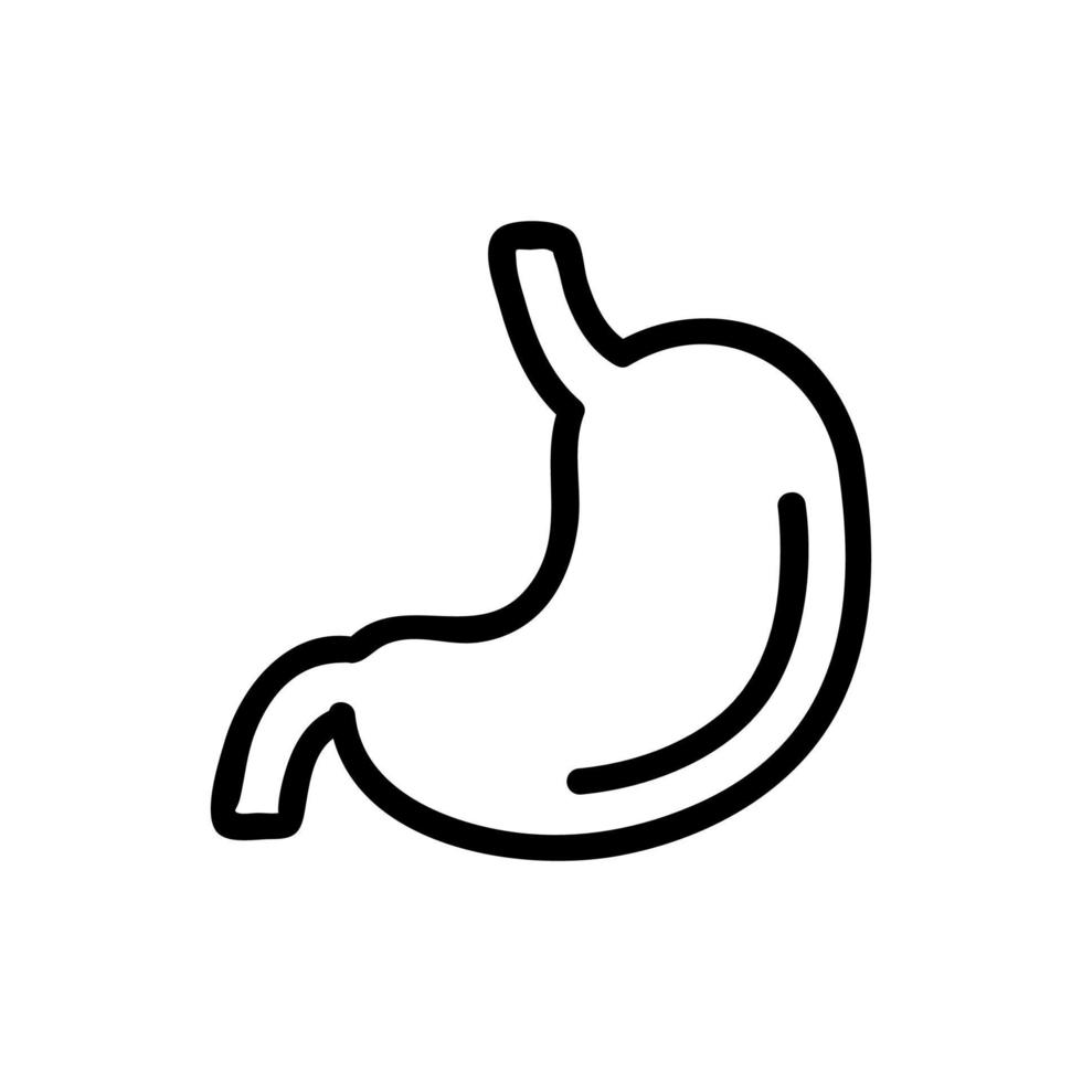 vecteur d'icône d'estomac. illustration de symbole de contour isolé