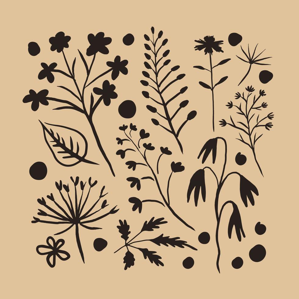 collection d'éléments de silhouette de plantes botaniques, carte carrée vecteur