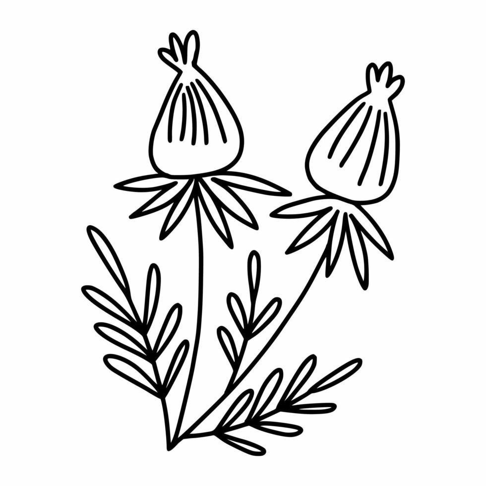 fleur. brindille noire et blanche. plantes et herbes. illustration vectorielle de griffonnage. élément de décor de carte postale. objet unique. vecteur