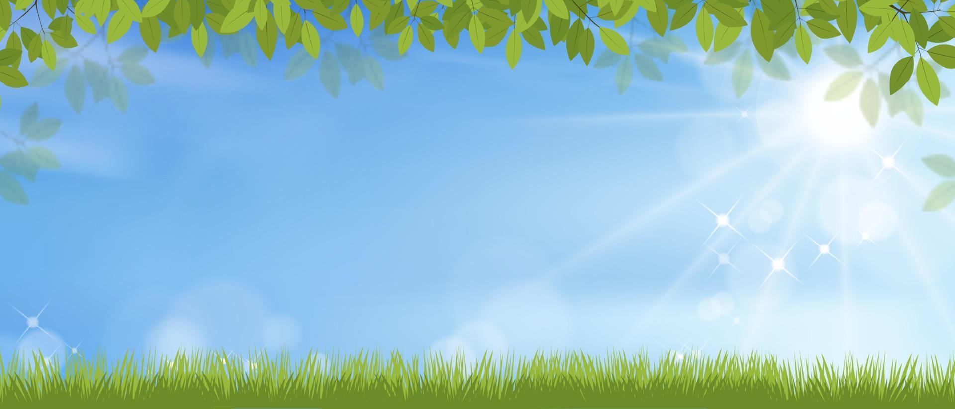 fond de printemps avec paysage de champ d'herbe, cadre de feuilles vertes sur fond de ciel bleu, dessin animé vectoriel avec espace de copie avec le soleil qui brille le matin, bannière de fond pour pâques, printemps, vacances d'été