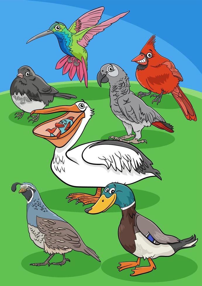 groupe de personnages animaux oiseaux de dessin animé vecteur