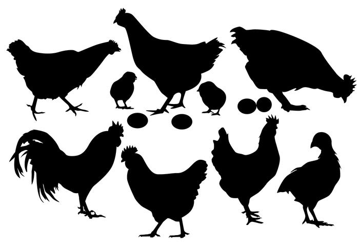 Vecteur de silhouette de poulet