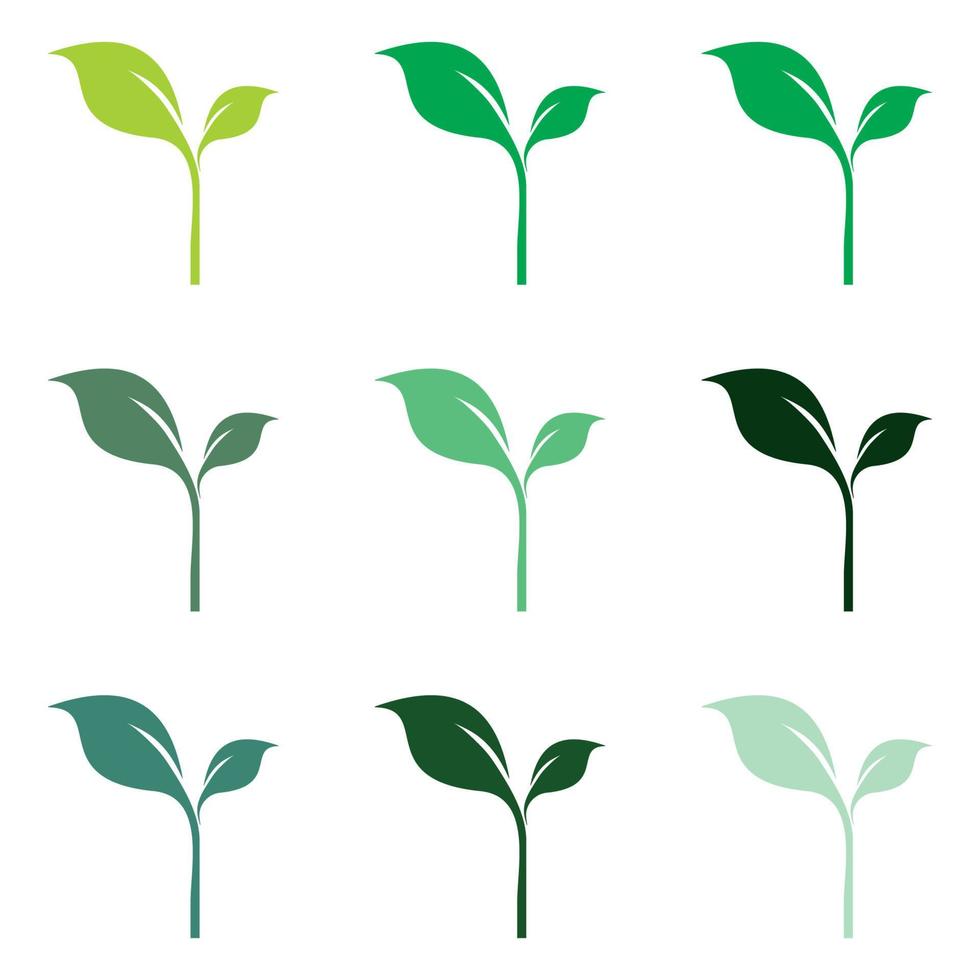feuille verte logo modèle icône feuille image vectorielle vecteur
