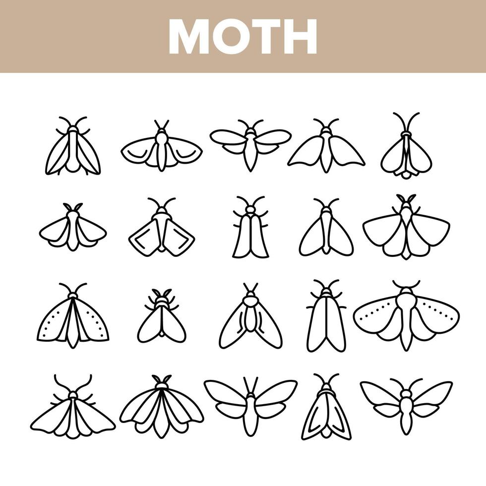 papillon de nuit, insectes collection d'entomologistes ensemble d'icônes linéaires vectorielles vecteur