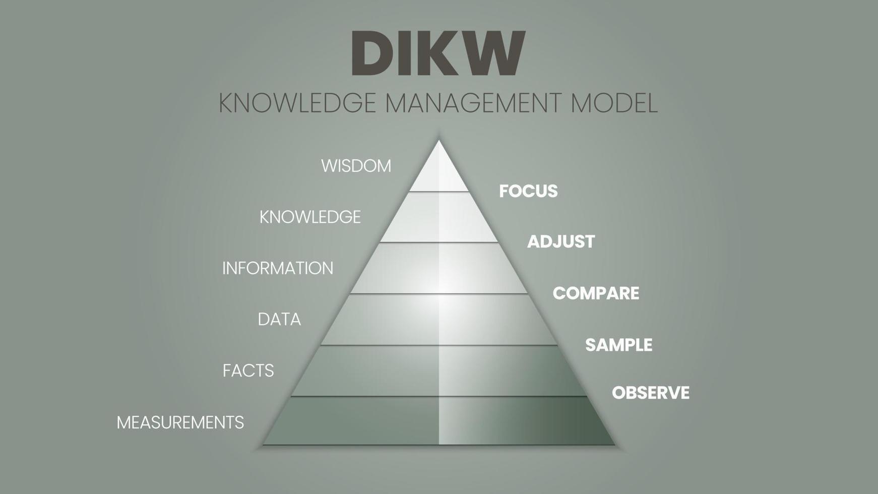 une illustration vectorielle de la hiérarchie dikw a la sagesse, la connaissance, l'information et la pyramide des données en 4 étapes qualitatives, d est la donnée, i est l'information, k est la connaissance et w est la sagesse. vecteur