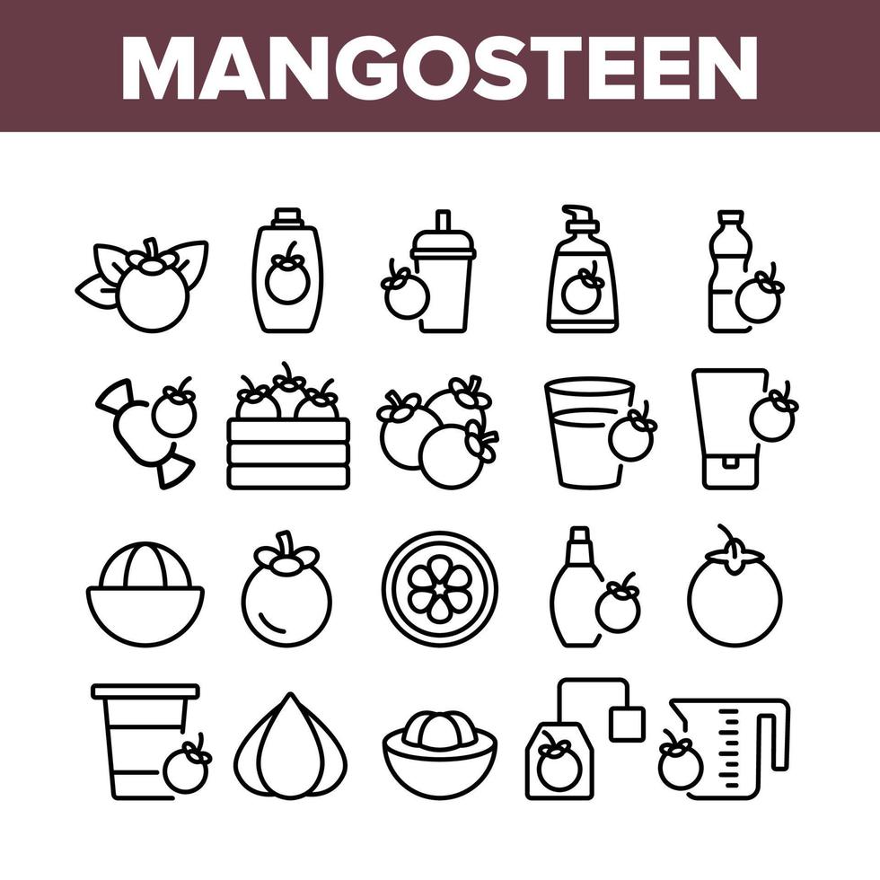 icônes de collection de fruits sucrés mangoustan set vector