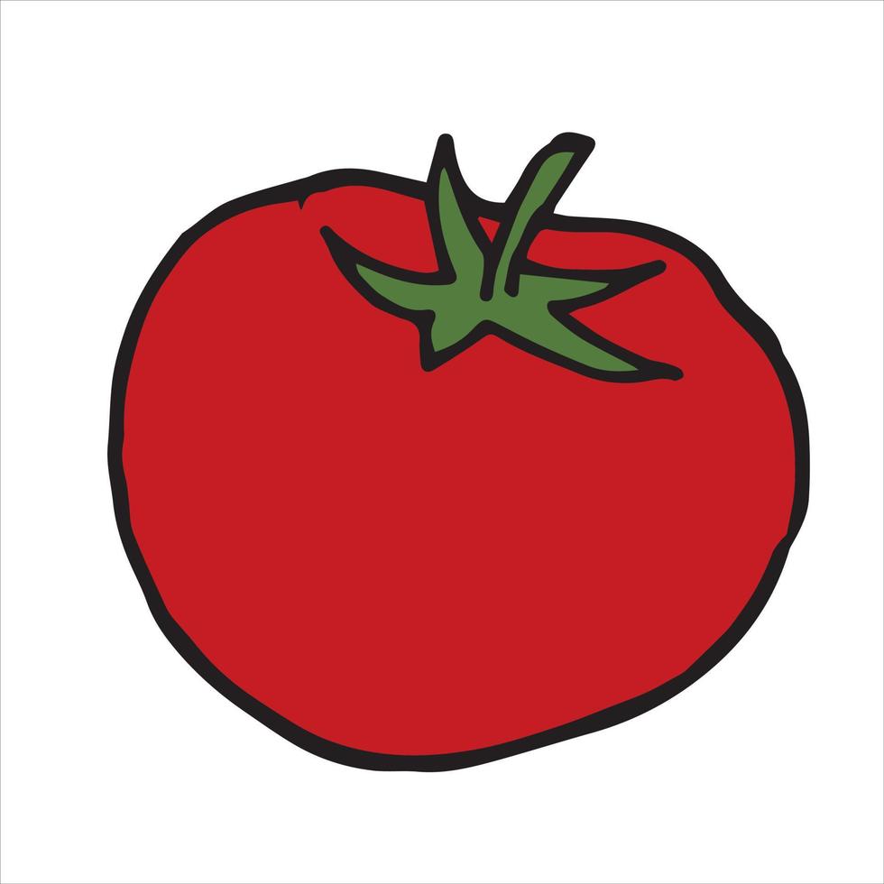 style de doodle vectoriel, carton. une tomate. jolie icône de tomate rouge mûre. clipart légume, nourriture végétalienne, nourriture saine vecteur