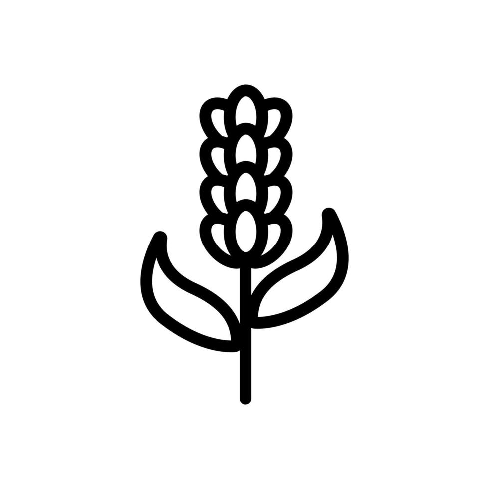 vecteur d'icône de fleur de lavande. illustration de symbole de contour isolé