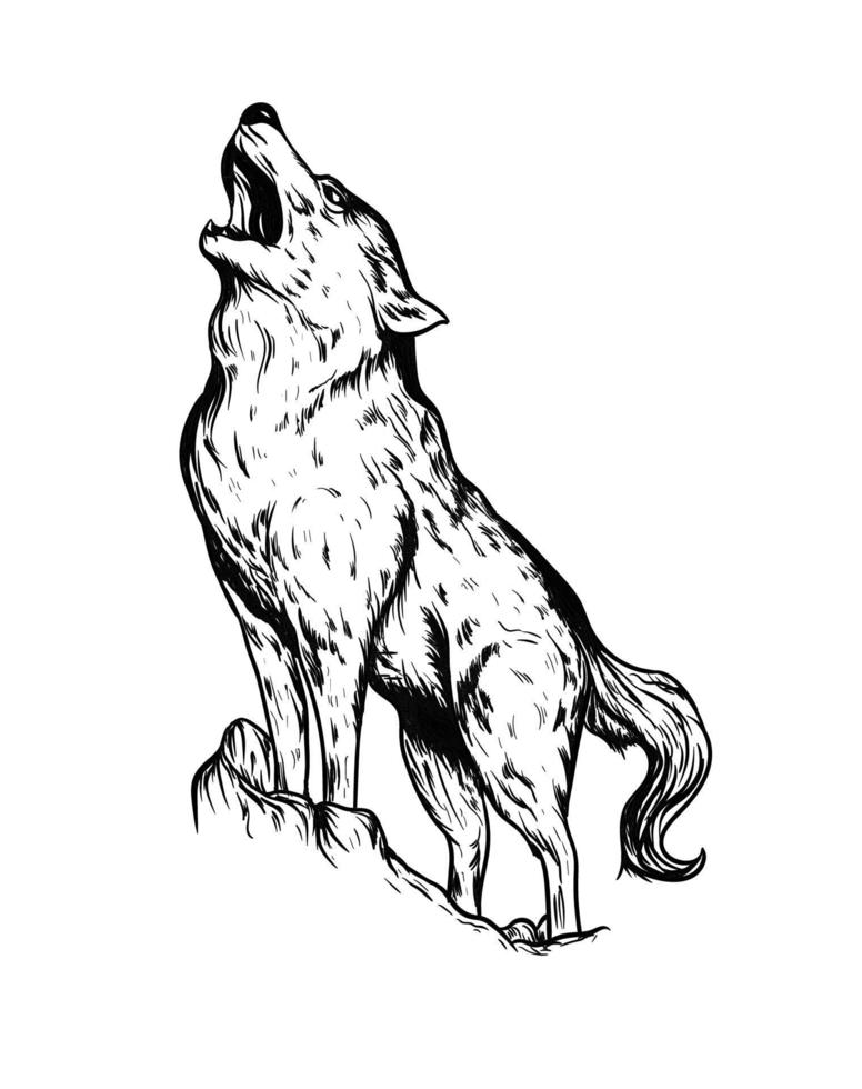 loup vecteur dessiné à la main