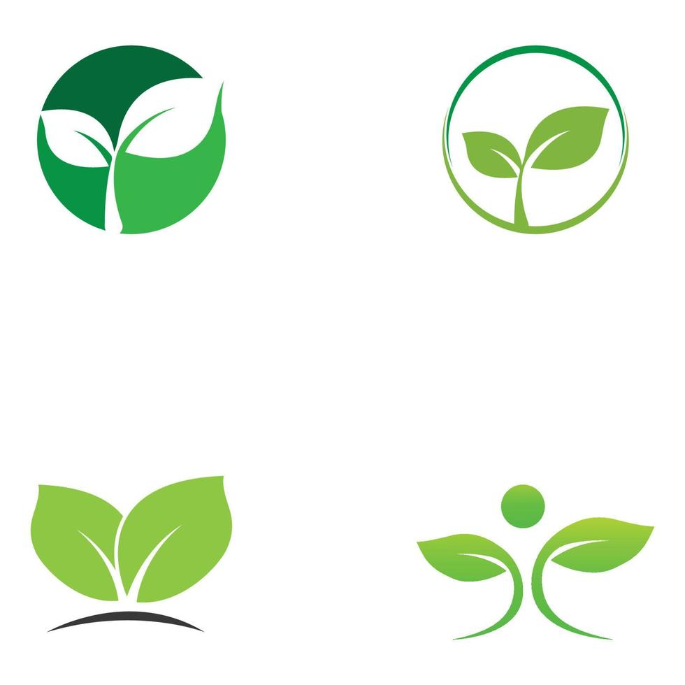 logo feuille verte. conception vectorielle de jardins, de plantes et de nature. vecteur