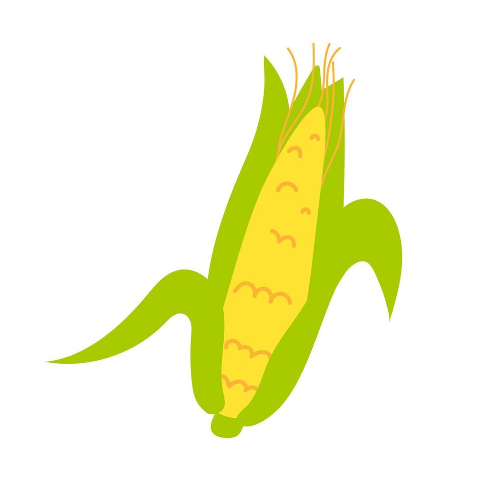 maïs de dessin animé isolé. illustration vectorielle de stock d'un épi de maïs avec des feuilles de tige. plante céréalière sur fond blanc. vecteur