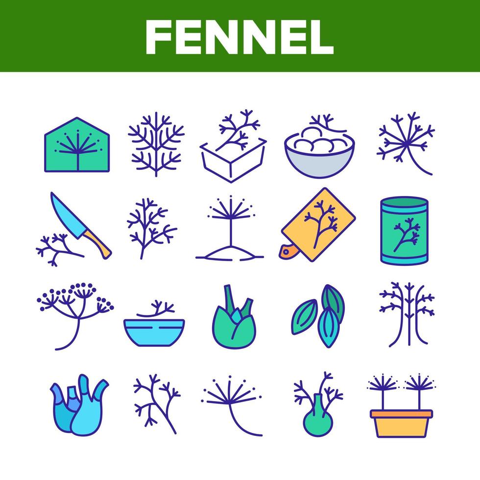 icônes de collection de plantes à fleurs fenouil set vector