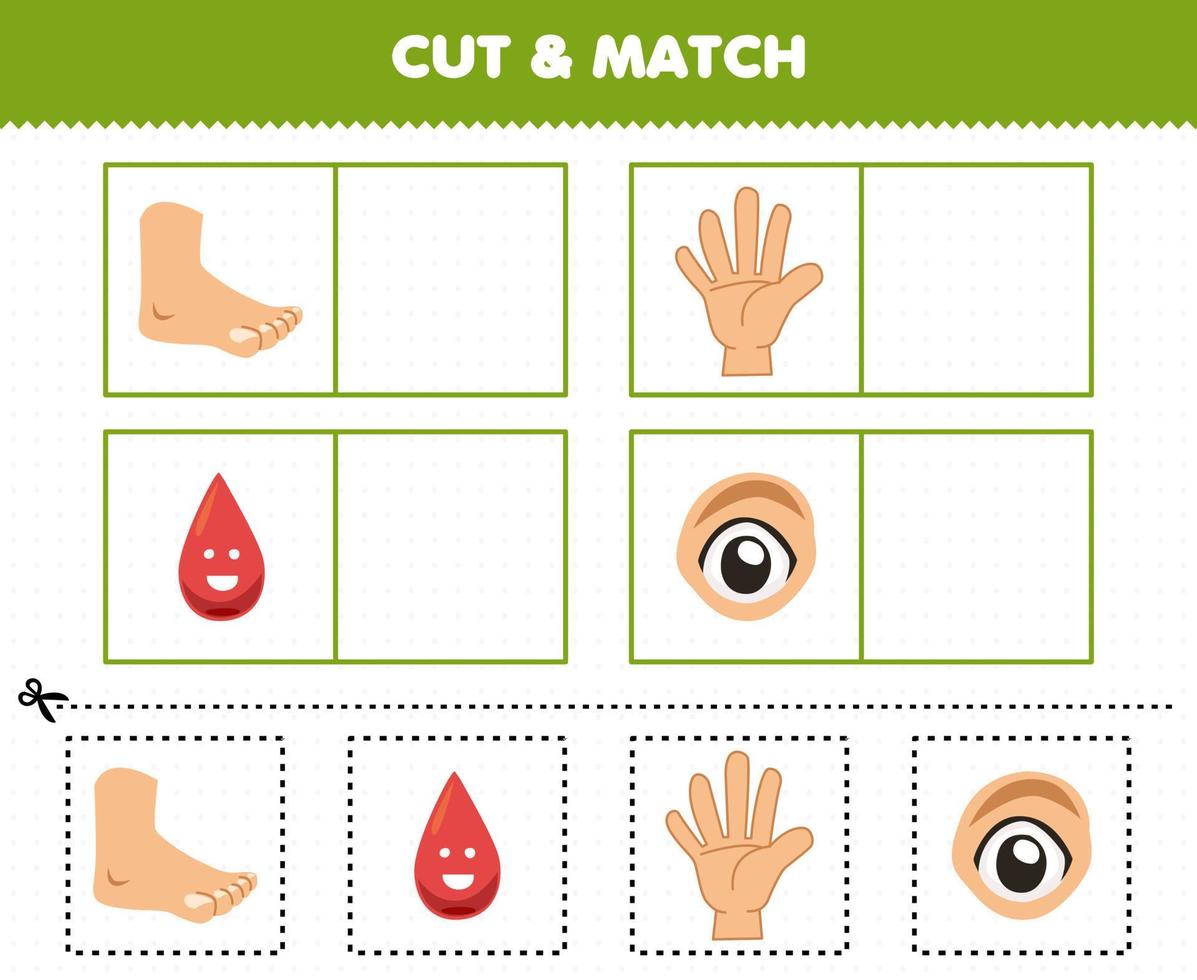 jeu éducatif pour les enfants couper et assortir la même image de dessin animé mignon anatomie humaine et organe pied doigt sang oeil vecteur
