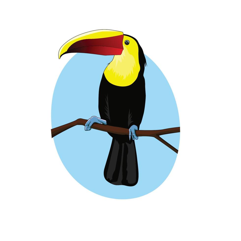 illustration vectorielle de dessin animé toucan. signe et symbole d'oiseau d'été. vecteur