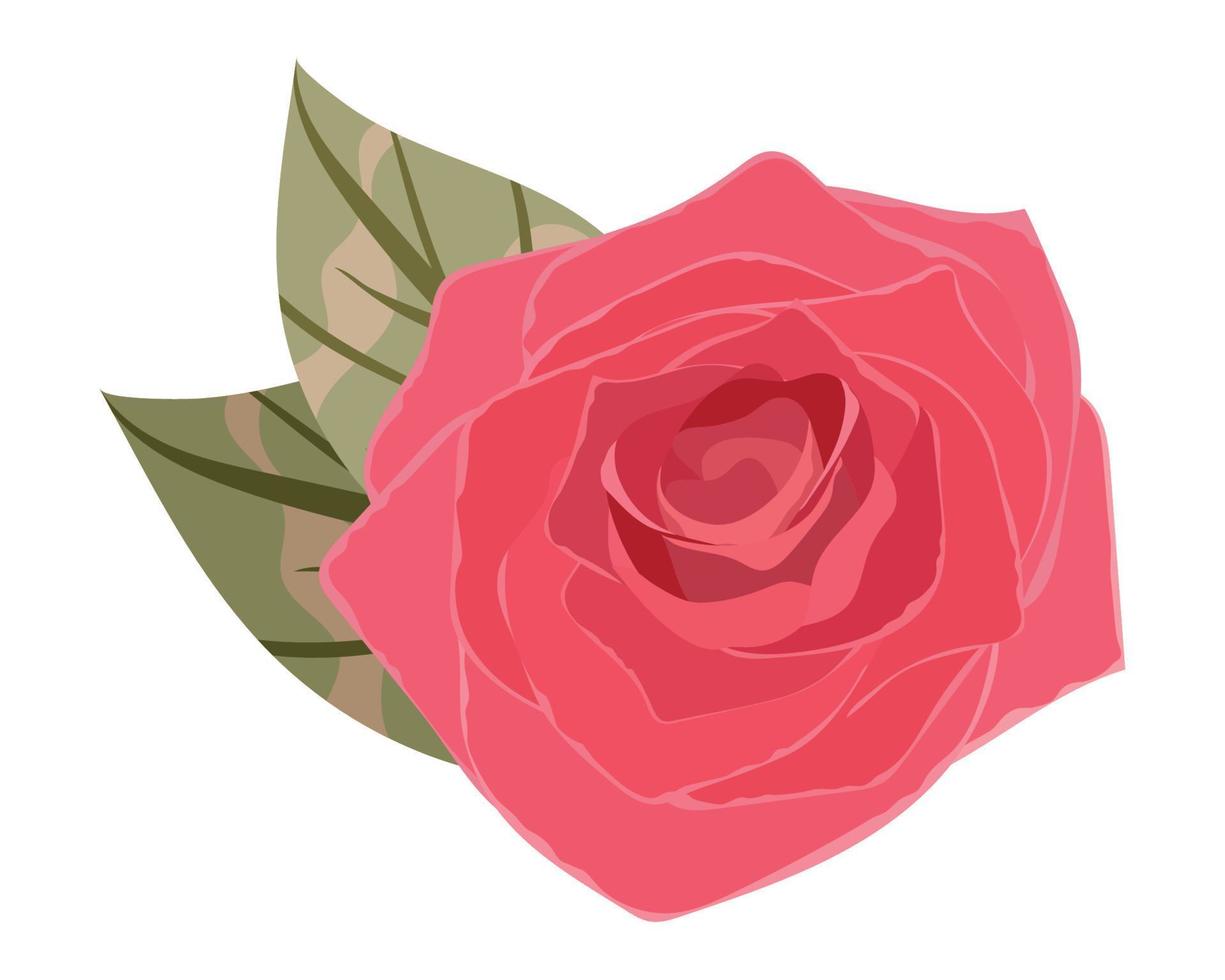 fleur rose feuille vecteur