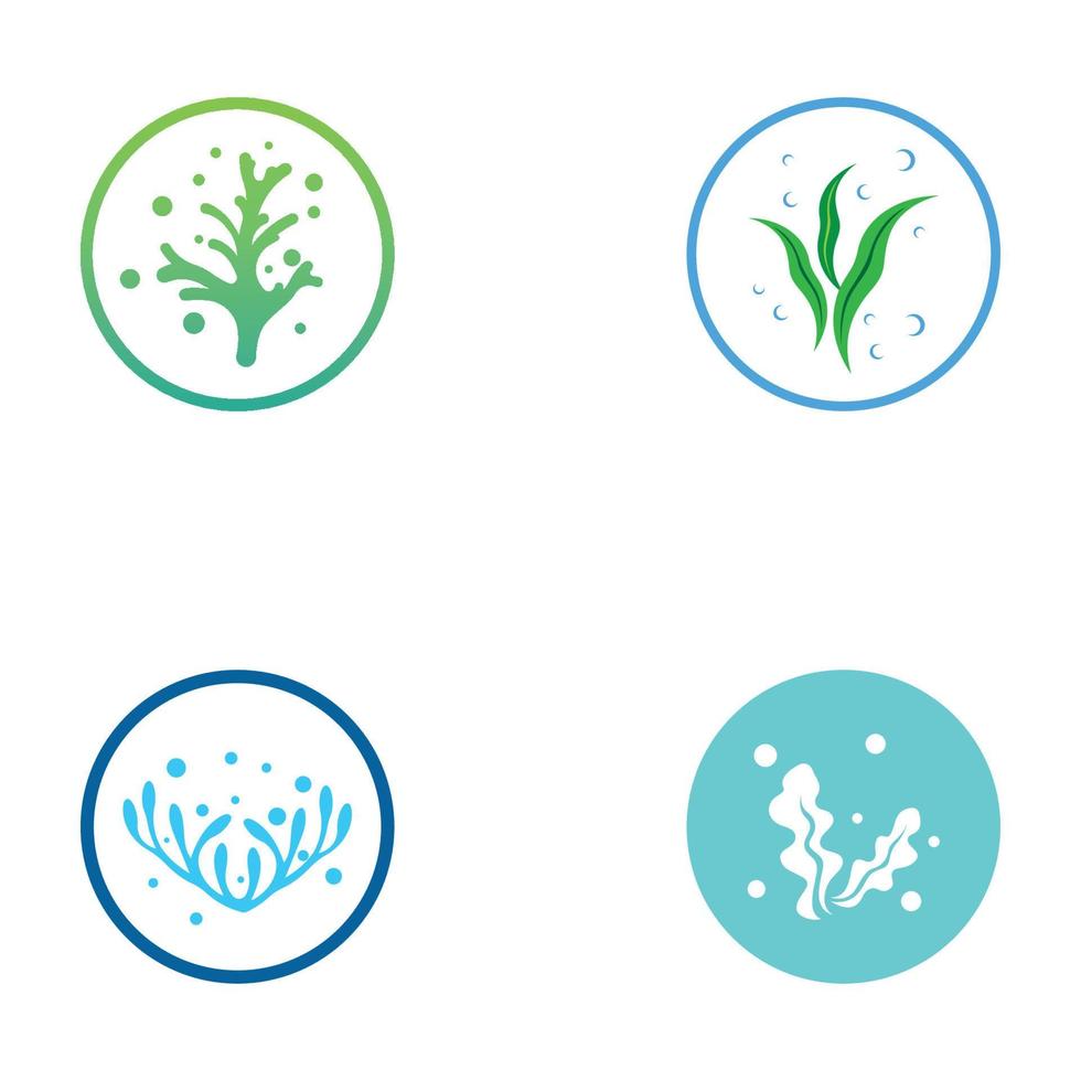 logo d'algues avec conception vectorielle d'illustration de modèle. vecteur