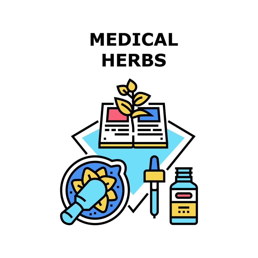 illustration de couleur de concept de vecteur d'herbes médicales