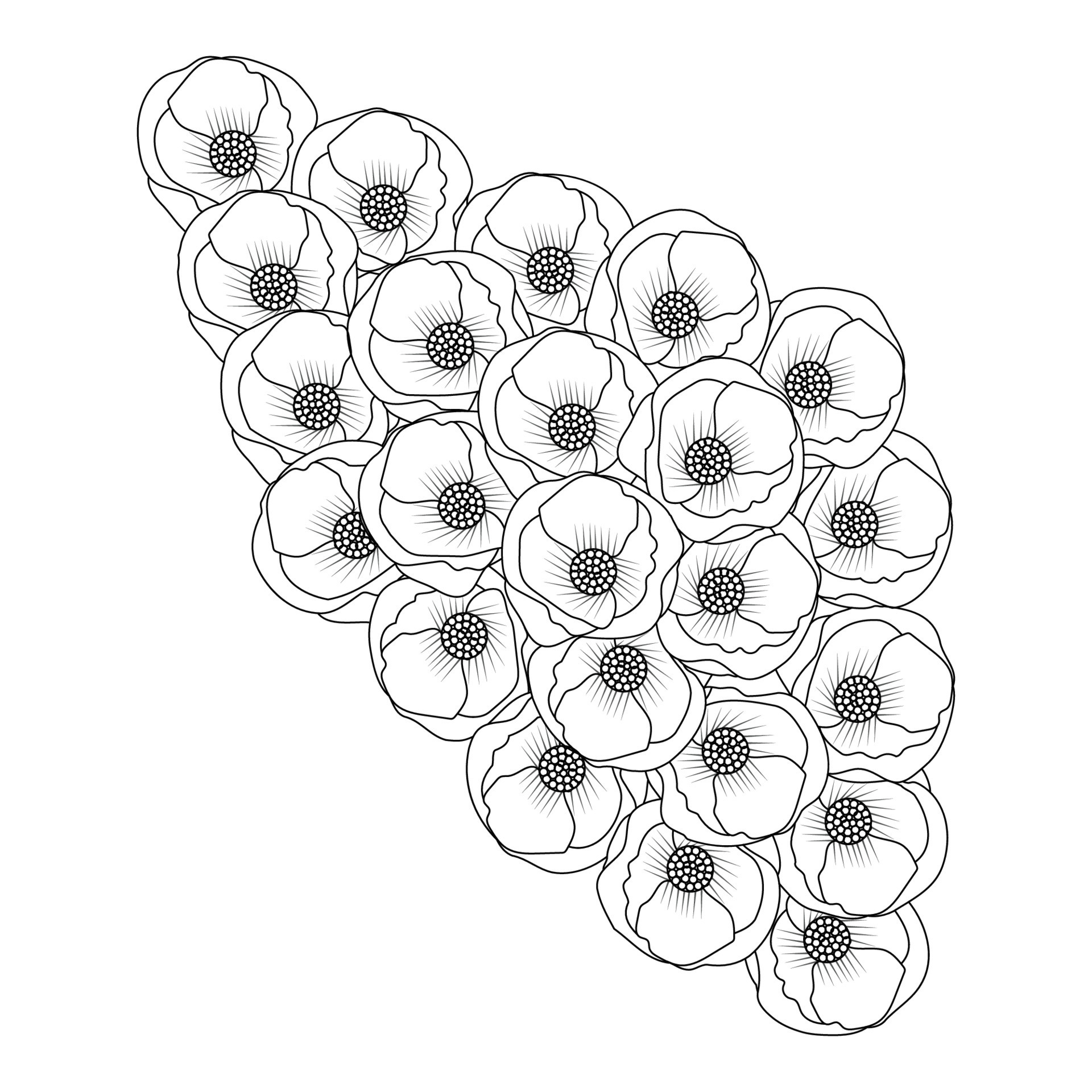 coquelicot illustration de la page de livre de coloriage de fleur de fleur  conception d'art en ligne de conception graphique vectorielle 12792342 Art  vectoriel chez Vecteezy