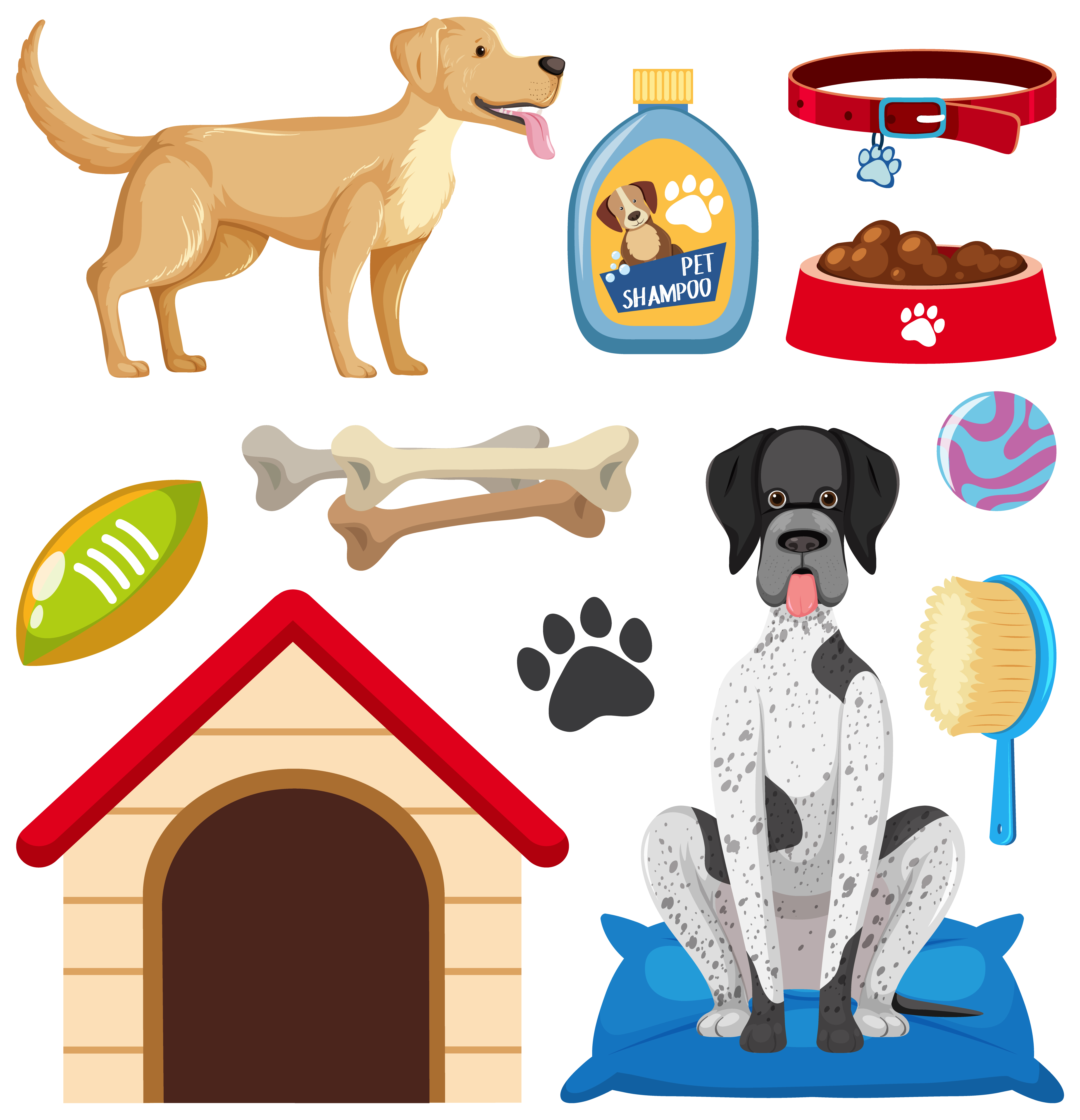 Accessoires pour Chiens – Animalux