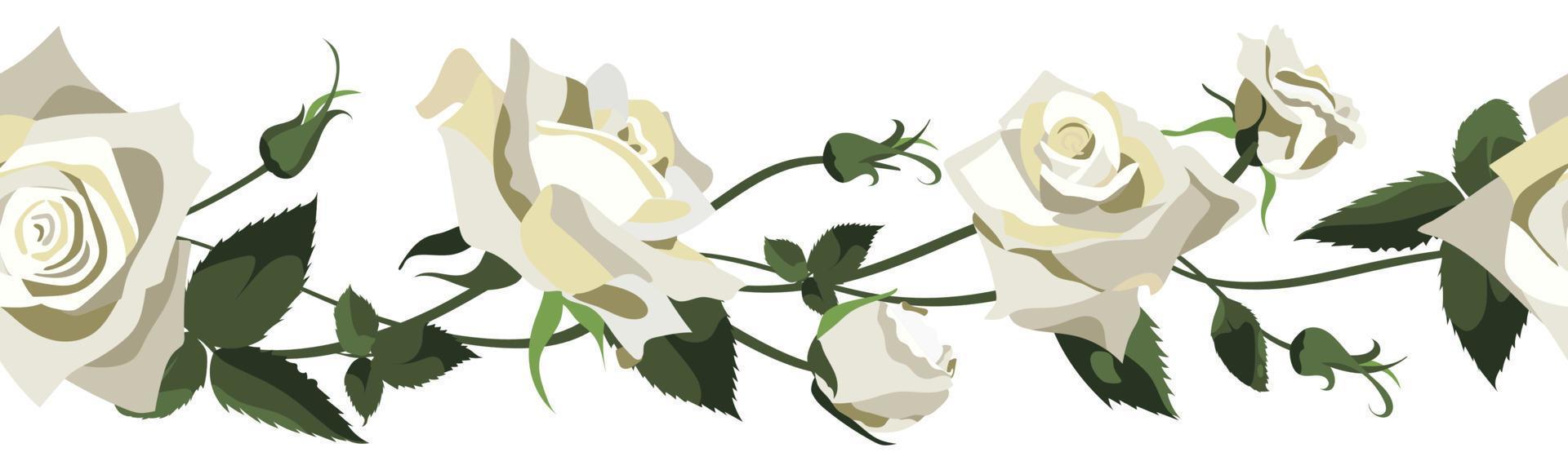 fond floral de vecteur avec des roses blanches, des bourgeons et des  feuilles. conception de bordure isolée sur fond blanc 13923281 -  Telecharger Vectoriel Gratuit, Clipart Graphique, Vecteur Dessins et  Pictogramme Gratuit