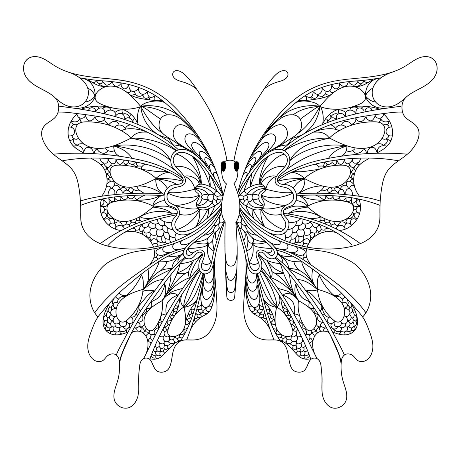 papillon. page de coloriage pour adultes anti-stress dans le style