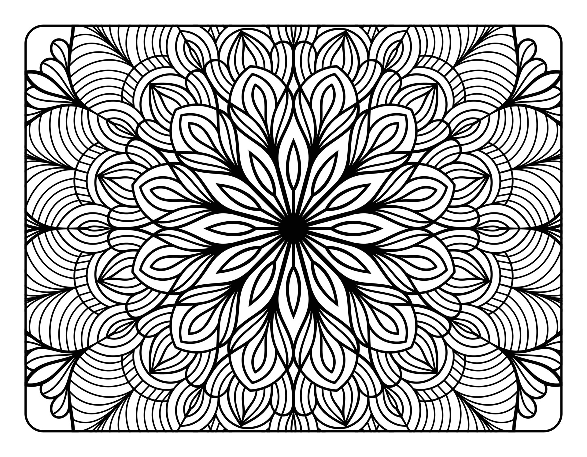 Intérieur De La Page Du Livre De Coloriage Floral. Page De Coloriage Adulte.  Coloriage Noir Et Blanc.