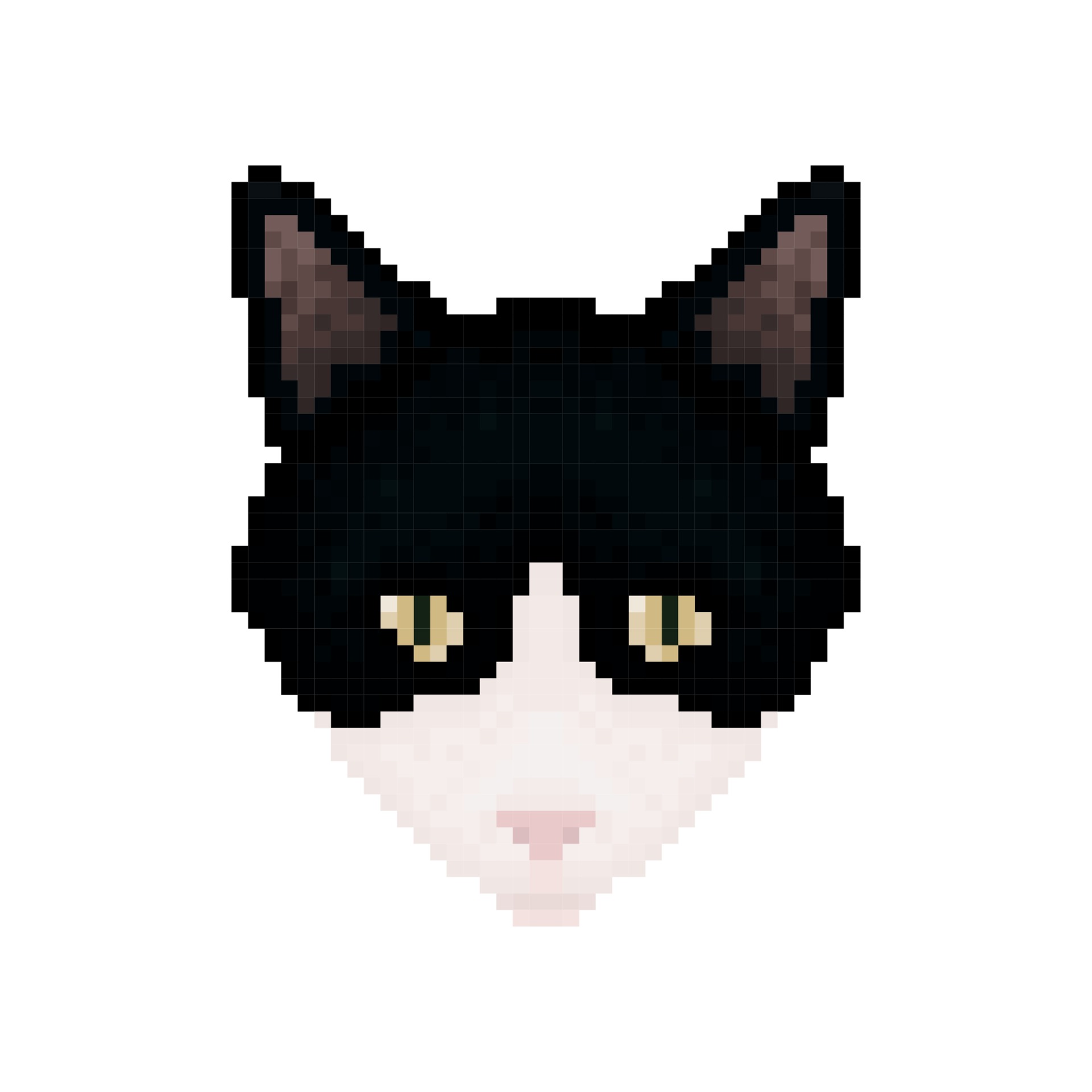 Dessin De Pixel Art Animaux