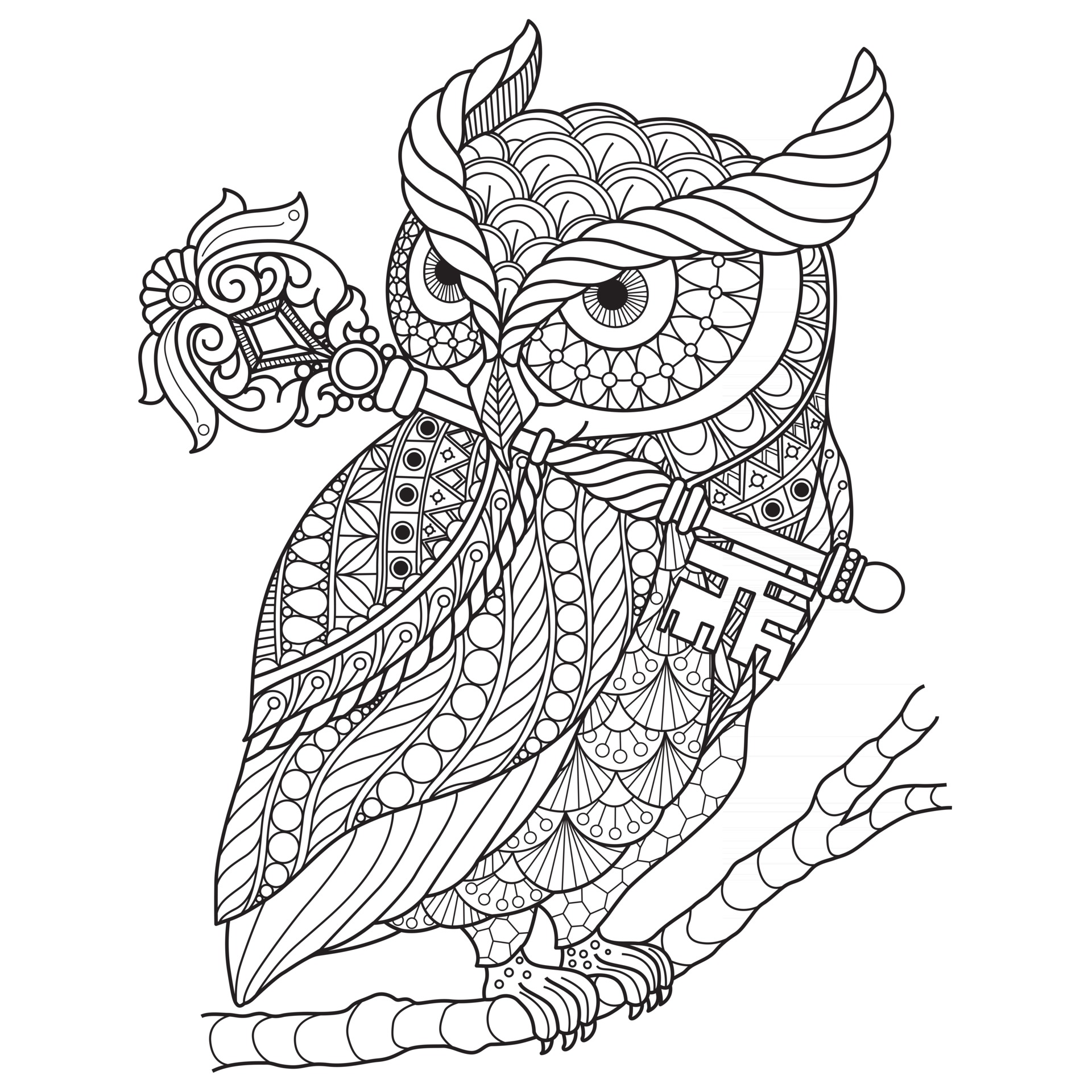 hibou avec clé, croquis dessiné à la main pour livre de coloriage